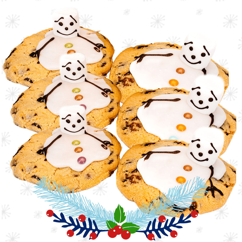 Box of 6 Freezy Stevie Cookies